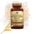 Psyllium Husks Fibre 500 mg
